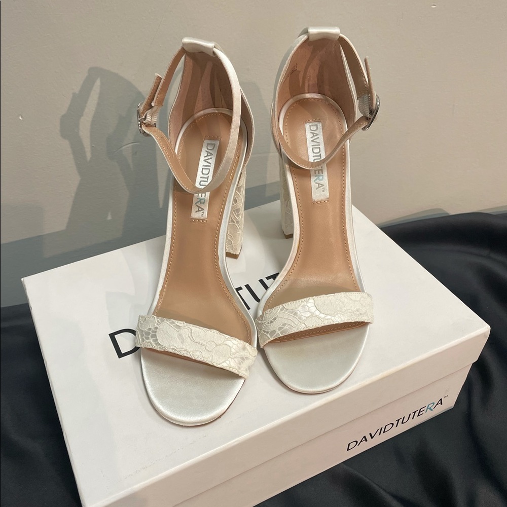 NEW IN BOX - David Tutera formal shoes